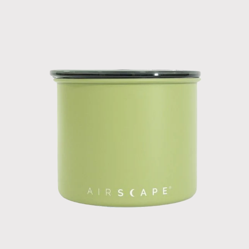 AIRSCAPE CLASSIC 4" SMALL - Lichen
