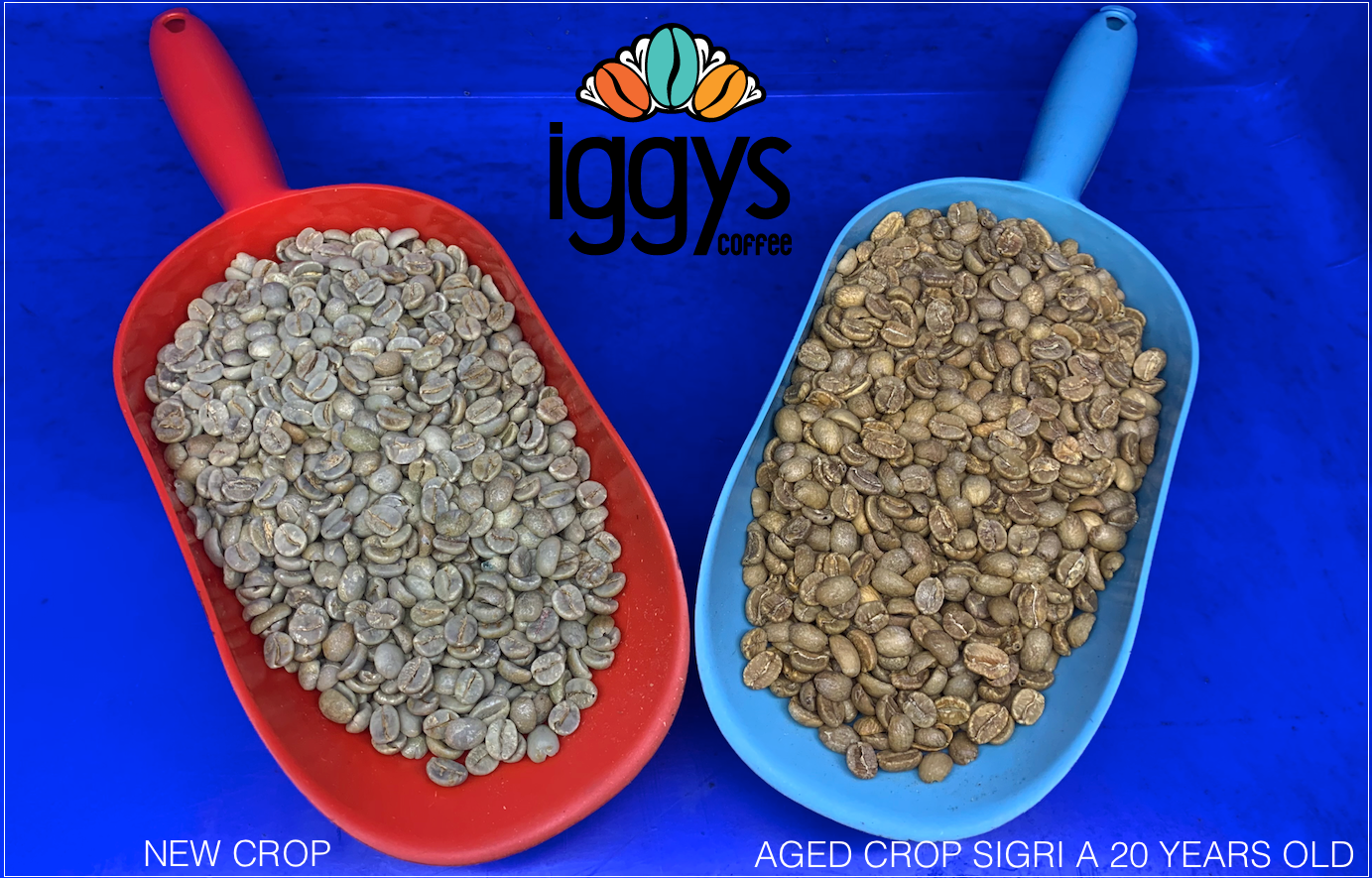PAPUA NEW GUINEA - SIGRI 26 Y.O. AGED COFFEE