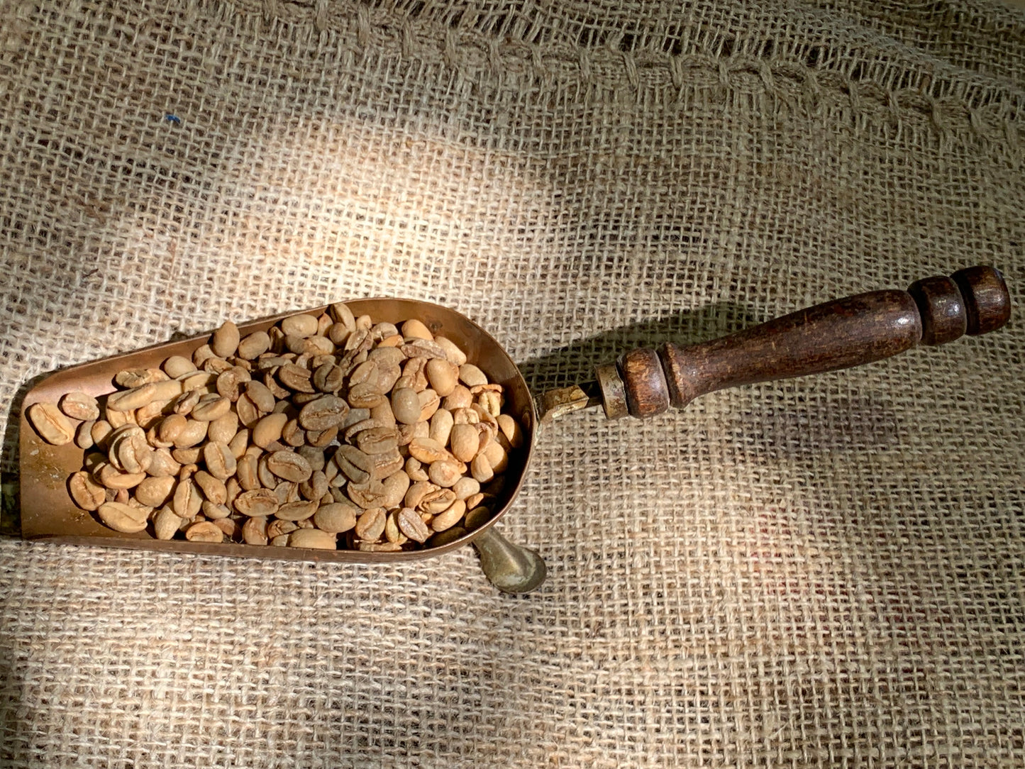 ETHIOPIAN - FAIR TRADE ORGANIC GRADE 4 HARRAR 16 Y.O. AGED COFFEE