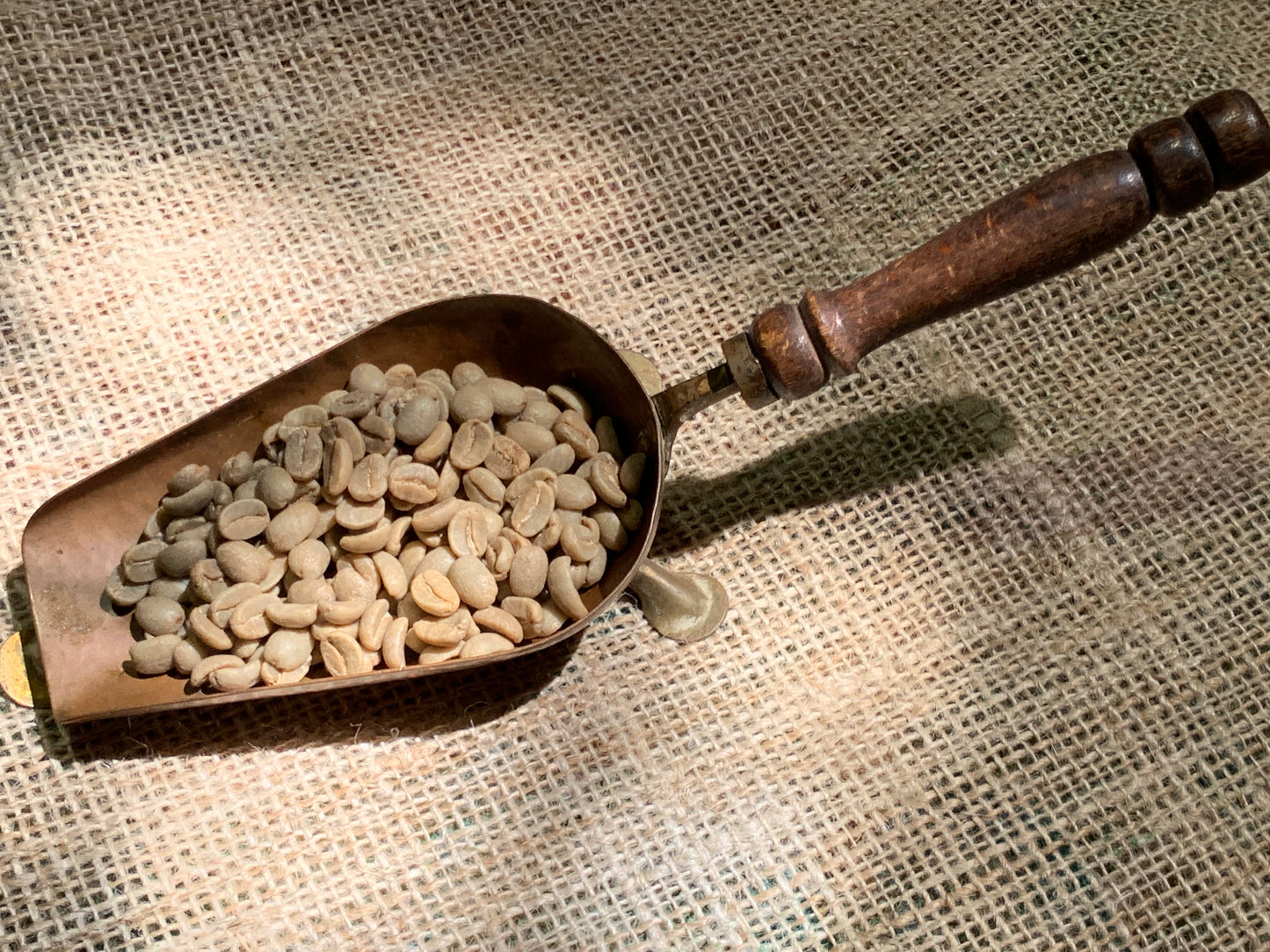 PAPUA NEW GUINEA - KIMEL PLANTATION AA 11 Y.O. AGED COFFEE